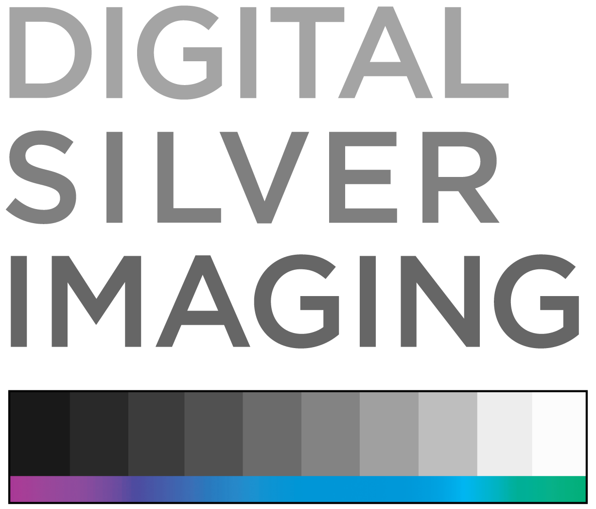 Logo for Digital Silver Imaging